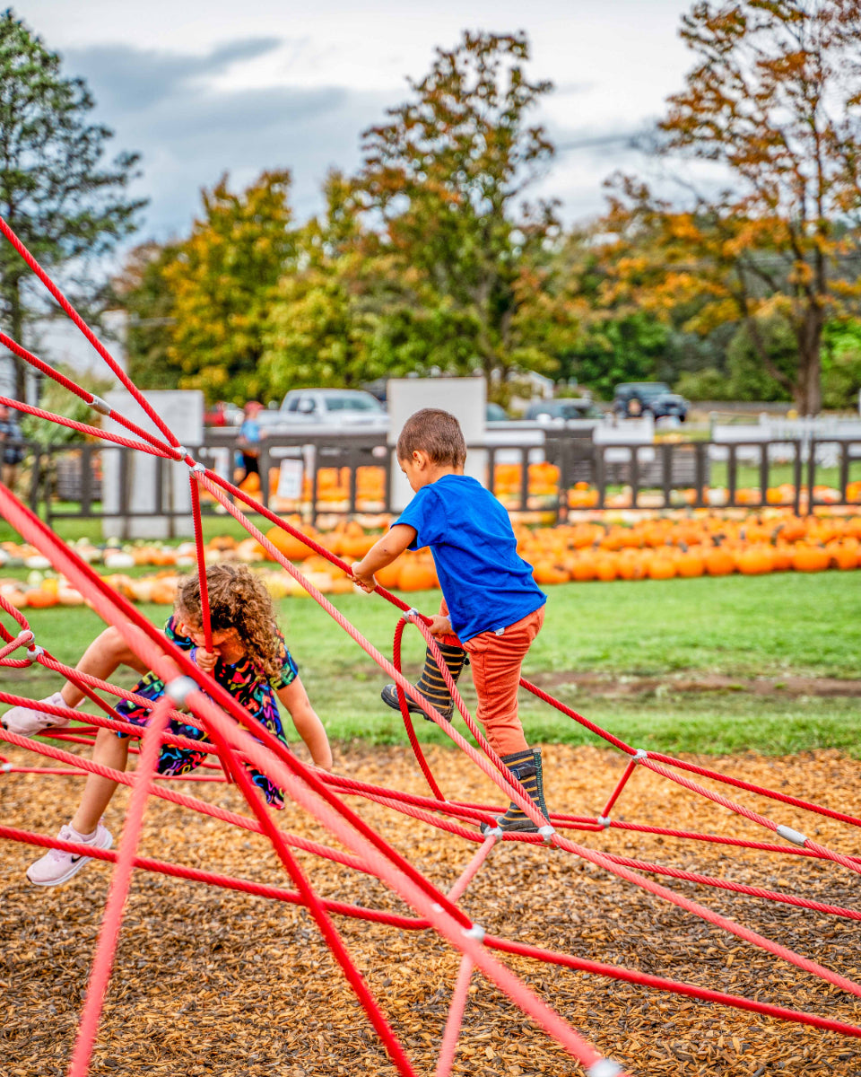 kids on a climbing tower with pumpkins in the background